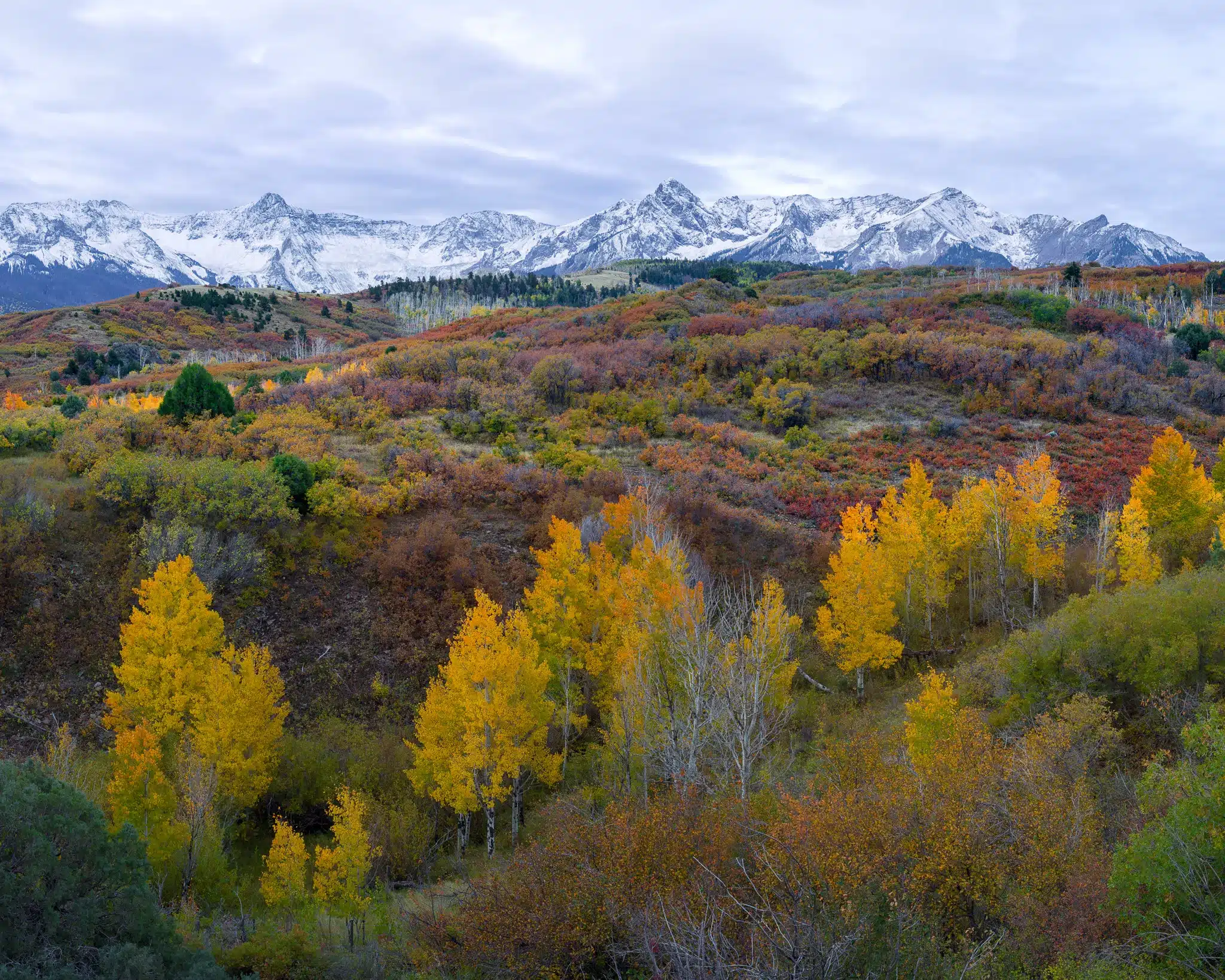 Dallas Divide sunrise with aspen fall color and Mount Sneffels, Colorado