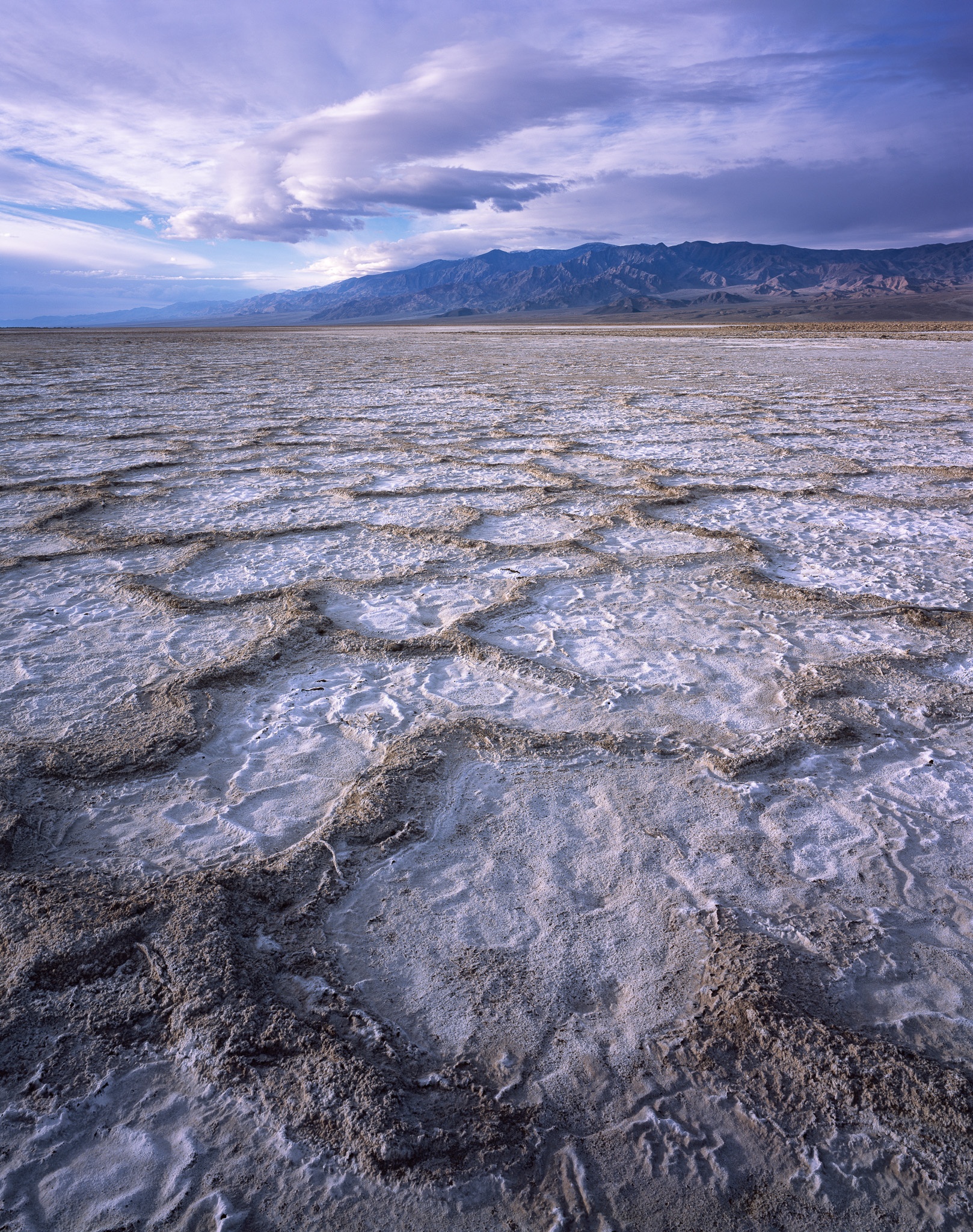 Cottonball Basin is named for the white salt formations that push up through the desert crust like something frozen mid-bubble, California. Photograph by Marty Quinn