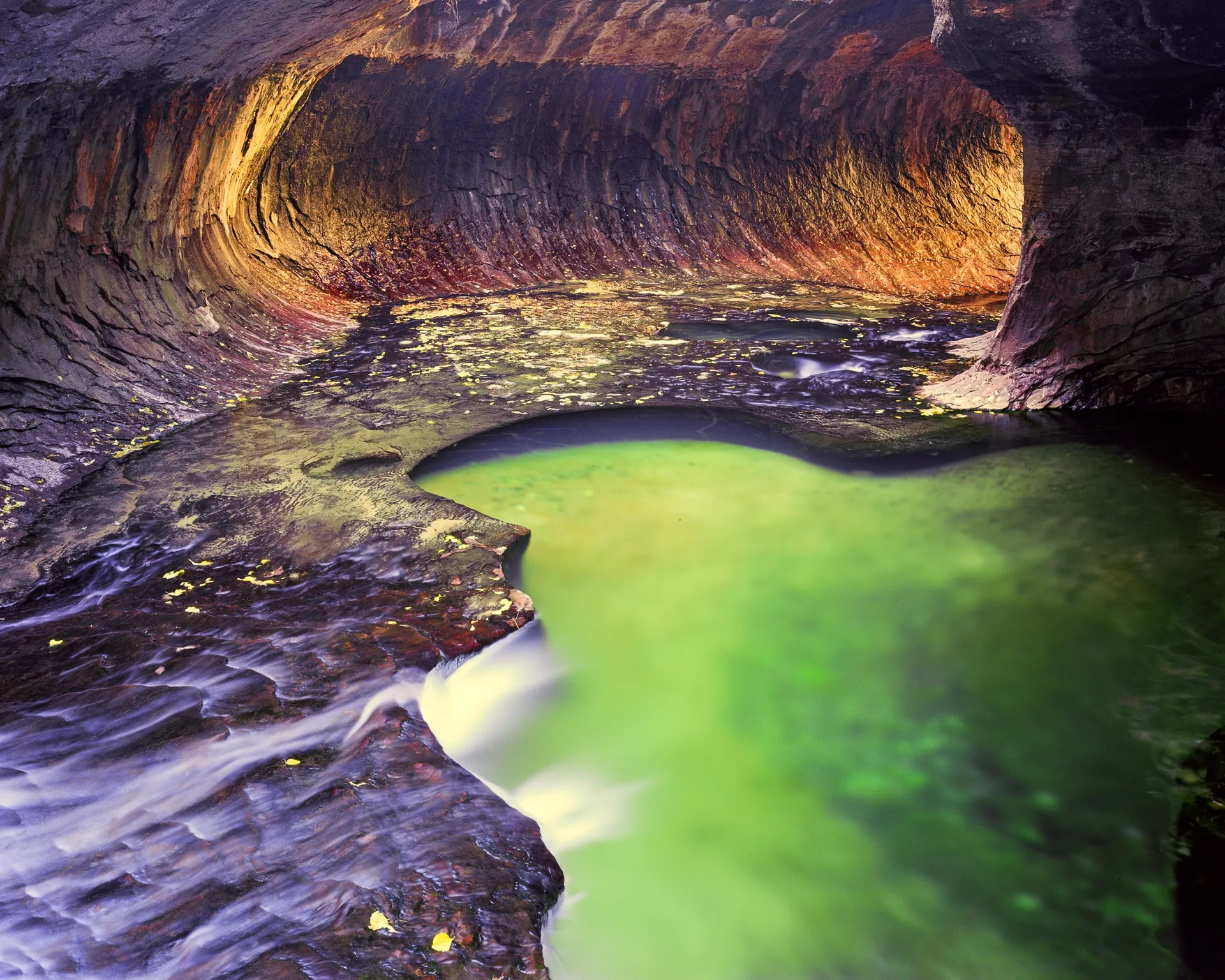 The Subway in Zion National Park — golden reflected light filling a section of the Left Fork slot canyon, Utah. Photograph by Marty Quinn