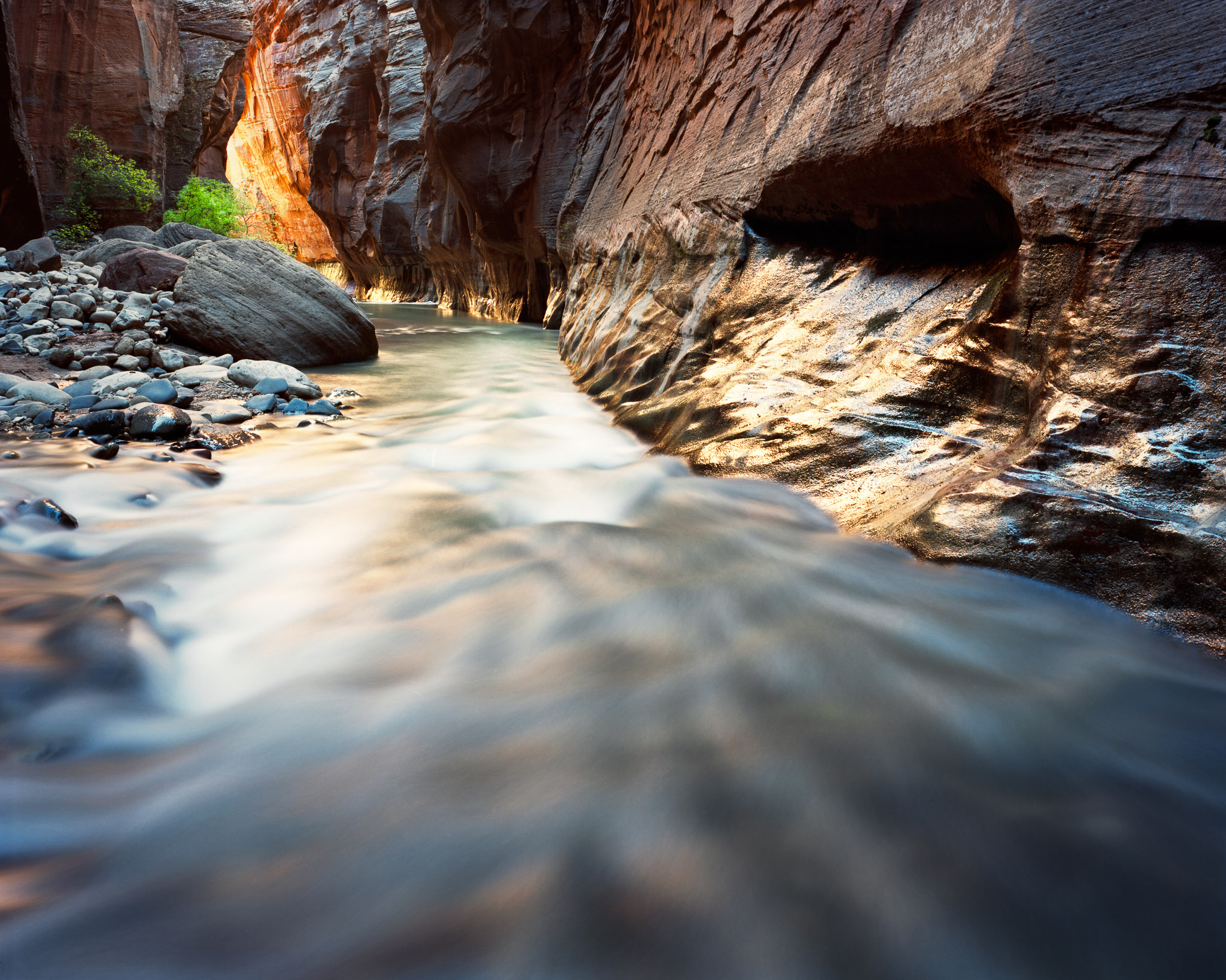 Narrows Reflection - Light reflecting off canyon walls in Zion's Narrows