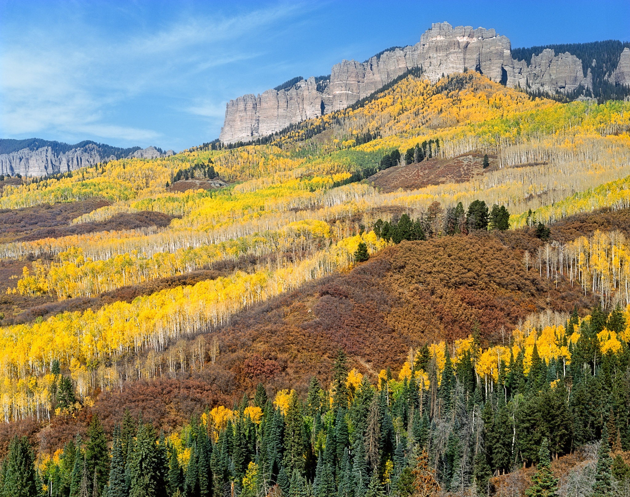 Peak fall color at Owl Creek Overlook in Colorado's Uncompahgre country. Photograph by Marty Quinn