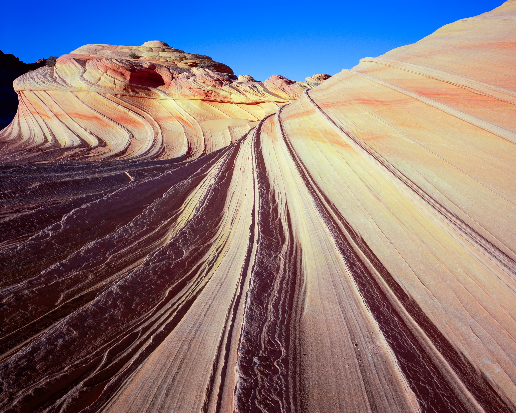 Second Wave Antelope Canyon — luminous orange sandstone curves, large format film photograph