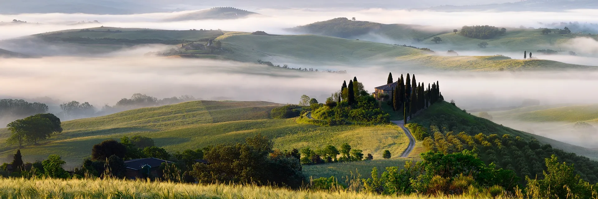 The rolling hills of Val d'Orcia, Tuscany, in morning fog — the landscape layers dissolving into the mist in panoramic format, International. Photograph by Marty Quinn