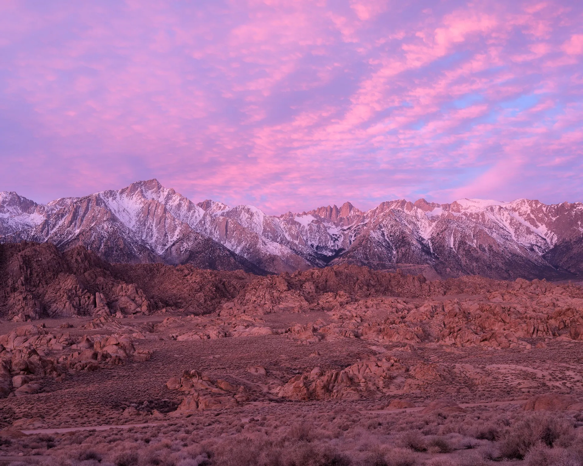 Pink and magenta clouds over the snow-capped Eastern Sierra at sunrise, California. Photograph by Marty Quinn