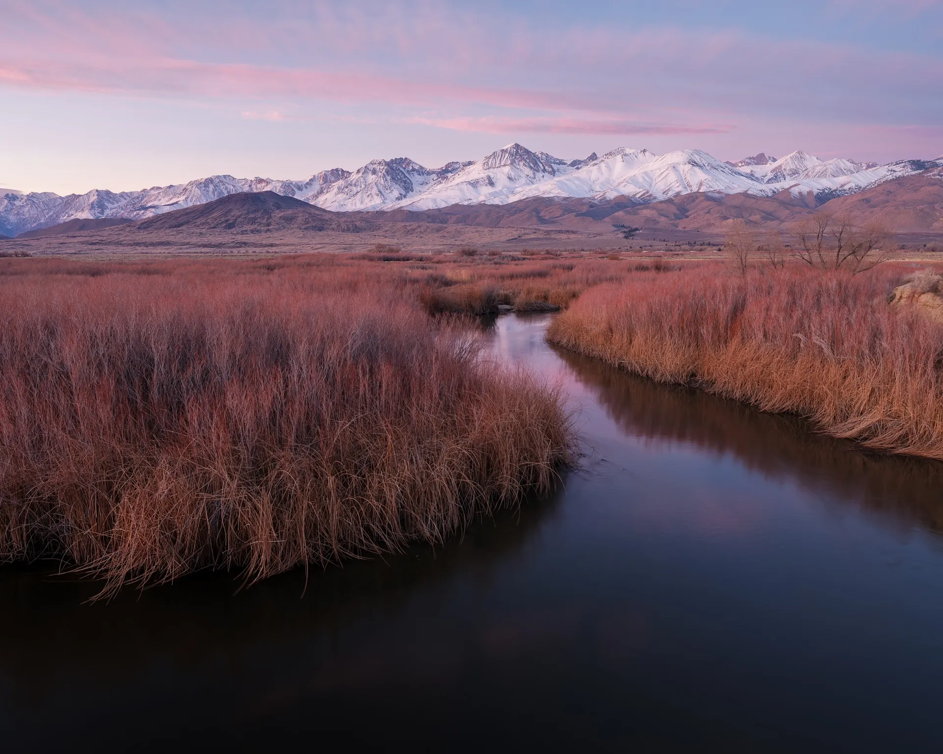 The Owens River at dawn, still water reflecting a pink sky while the Sierra Nevada rises to the west, California. Photograph by Marty Quinn